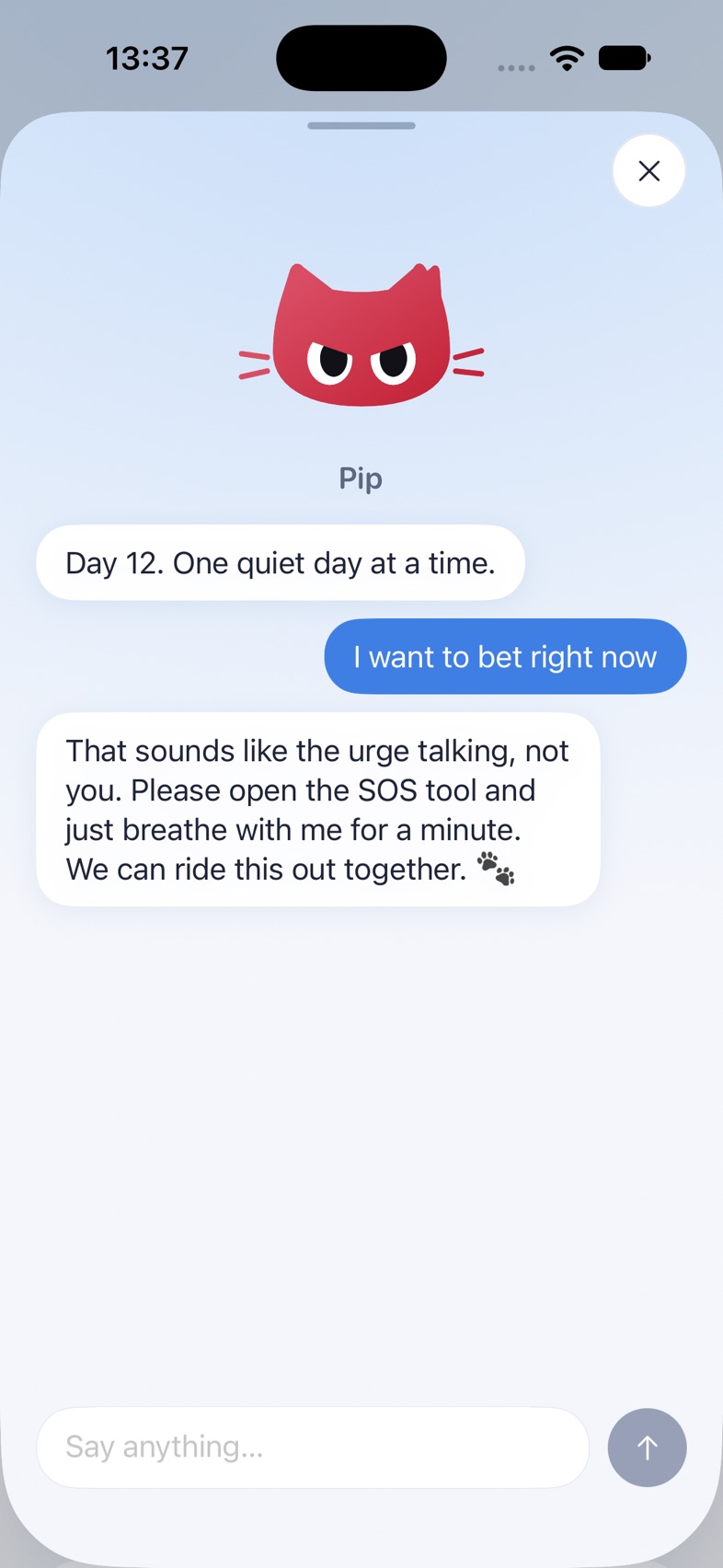 Talking to Pip: the cat turns stern when the urge is talking